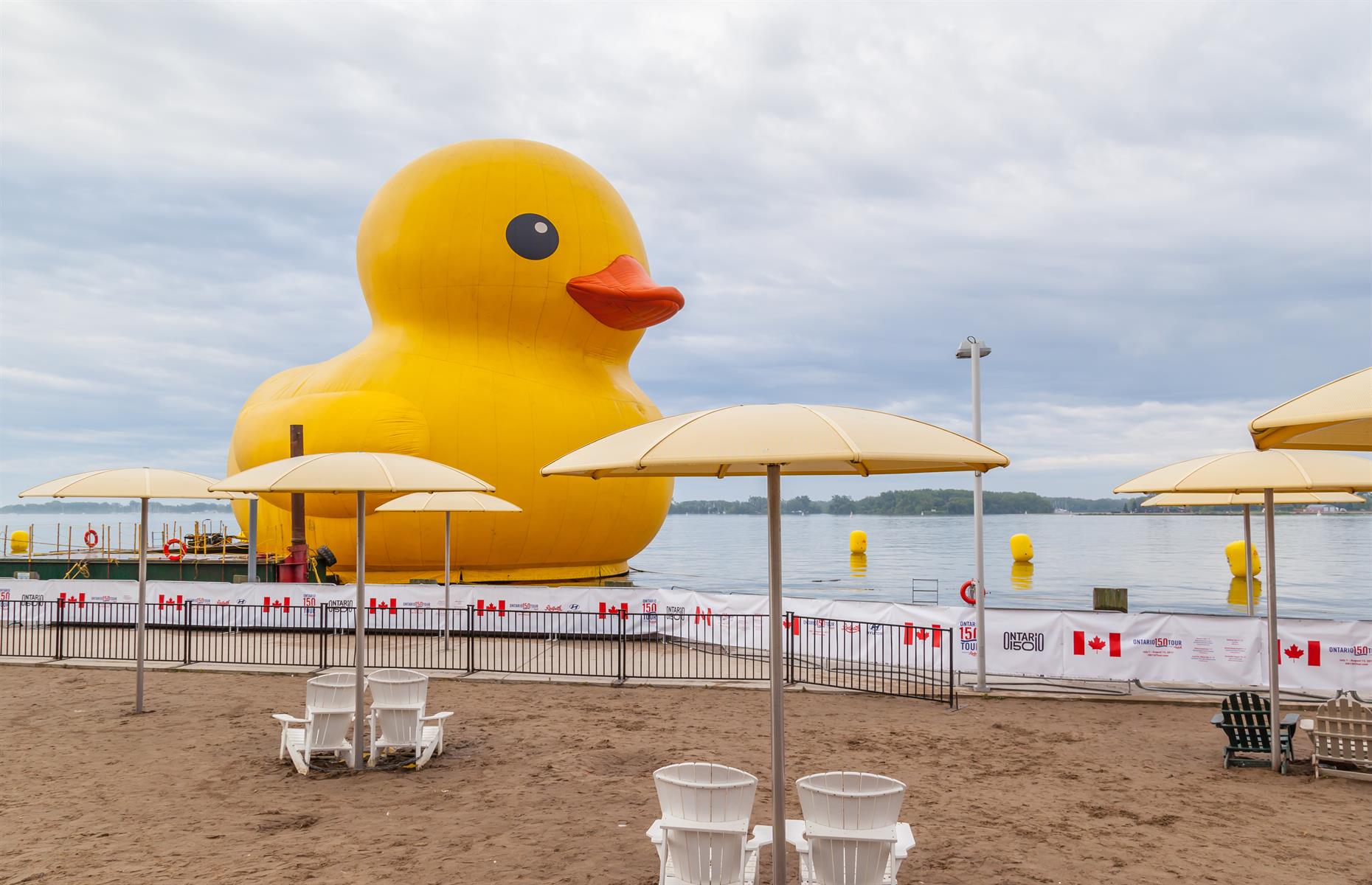 Giant rubber duck – $120,000